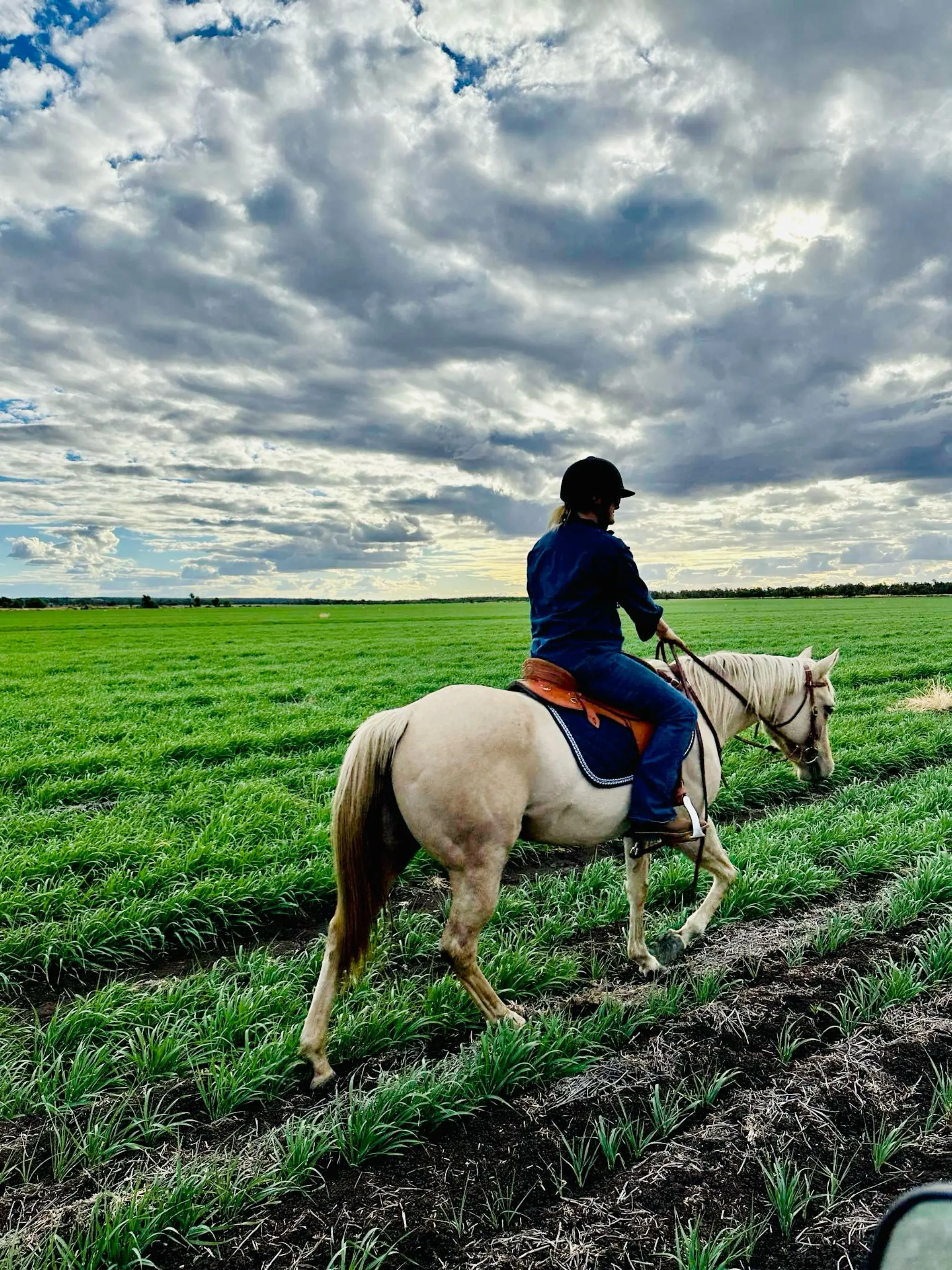 On horseback in a green paddock under big skies