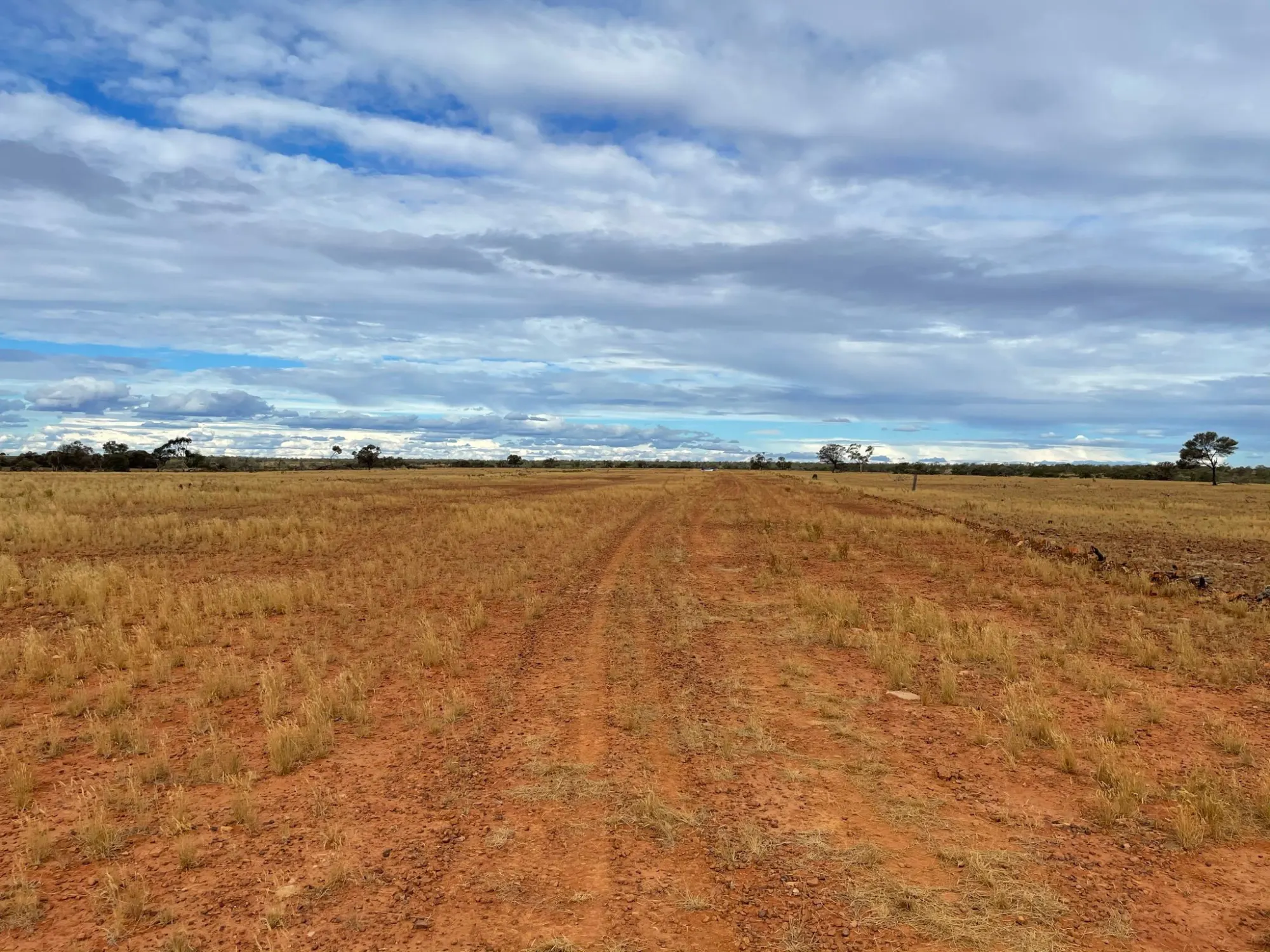Red-dirt track running through outback country