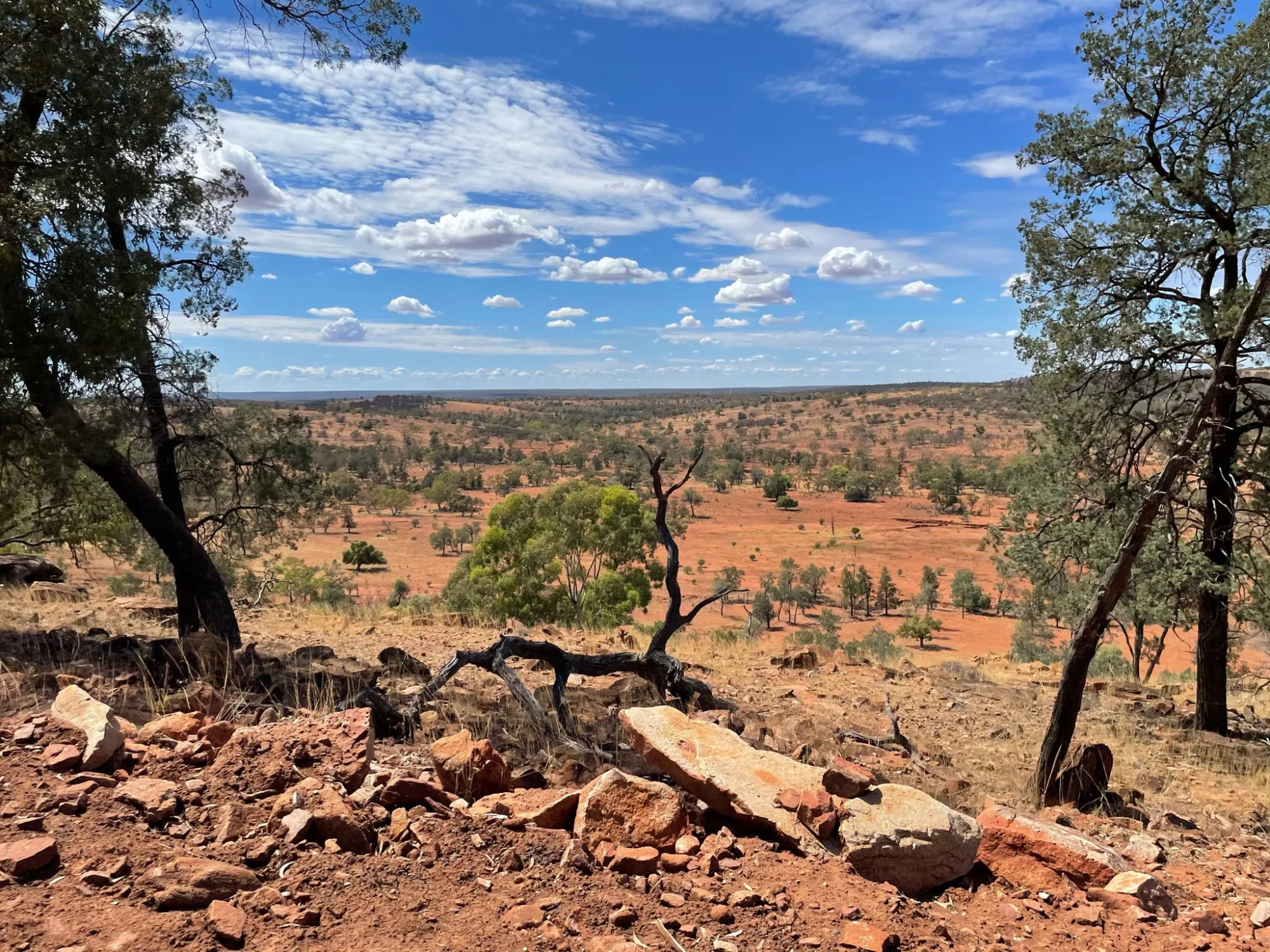 Outback ridge view across red-dirt valleys