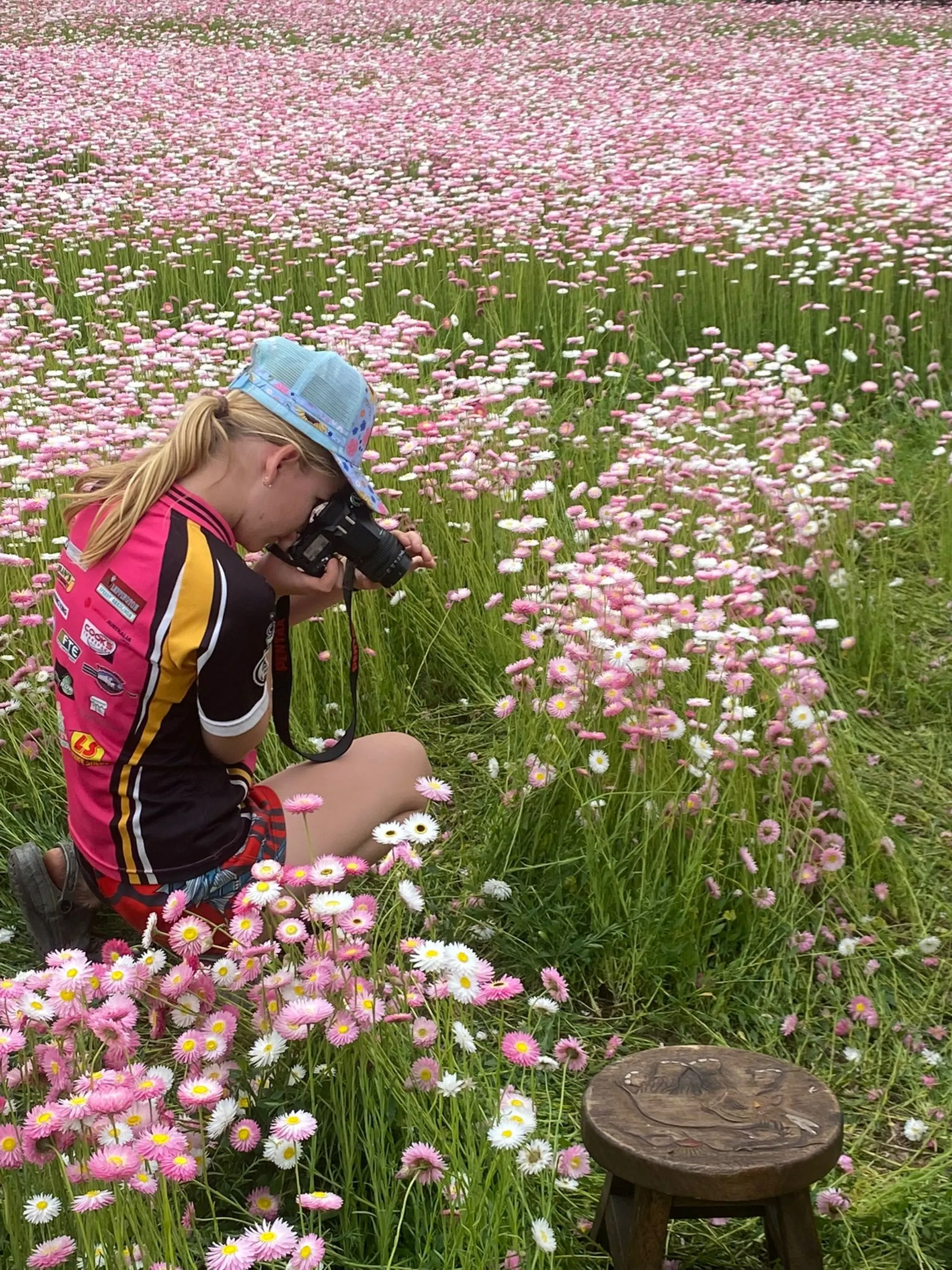 Photographer crouched among paper daisies
