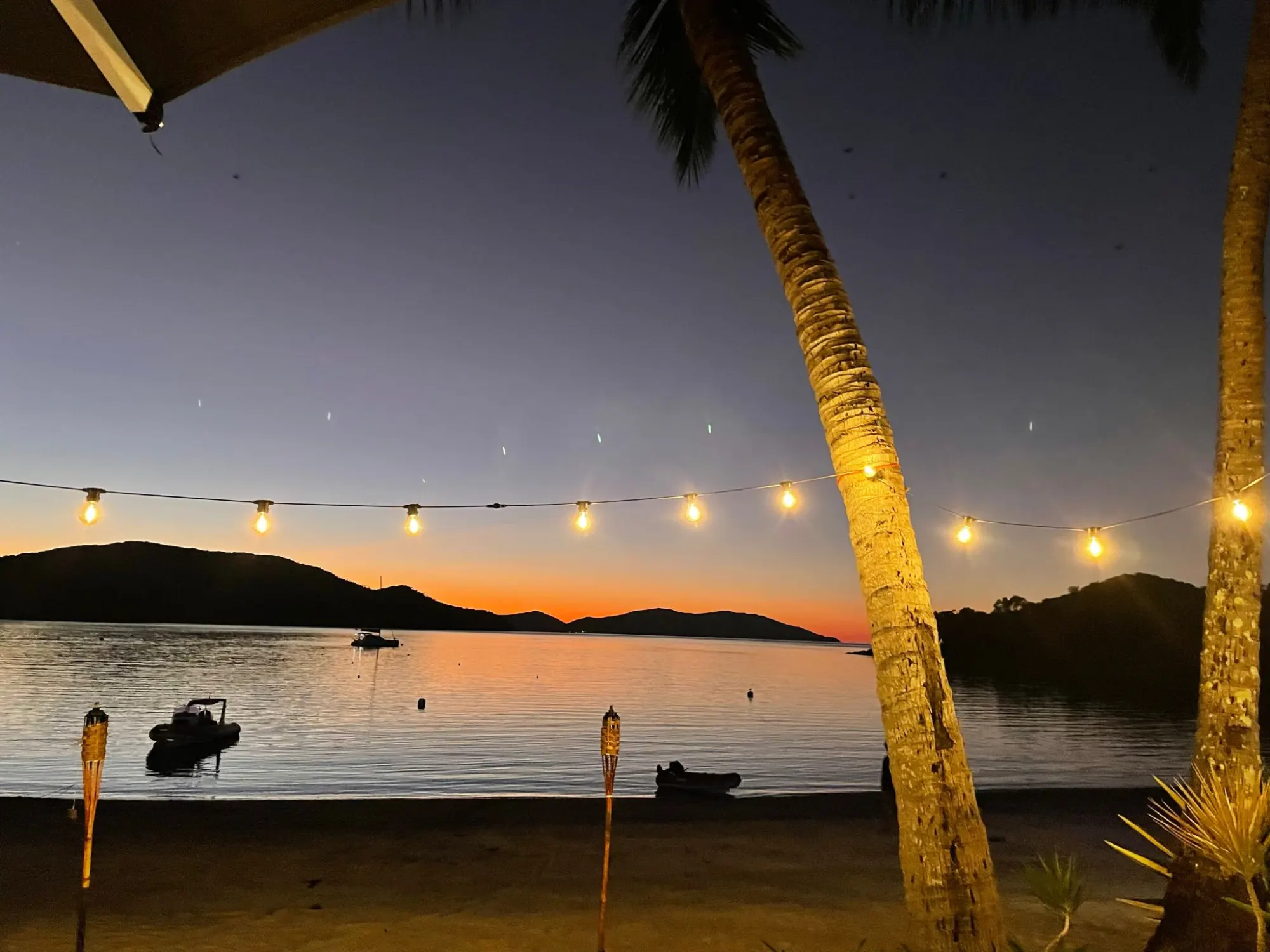 Tropical beach evening with palms and string lights